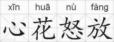 心花怒放的拼音