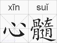 心髓的拼音