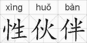 性伙伴的拼音