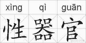 性器官的拼音