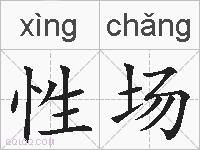 性场的拼音