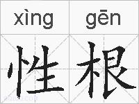 性根的拼音