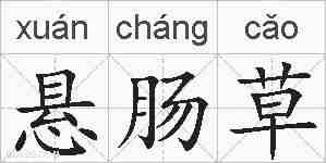 悬肠草的拼音