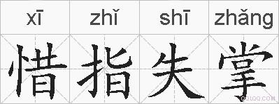 惜指失掌的拼音