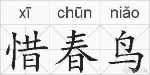 惜春鸟的拼音