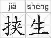 挟生的拼音