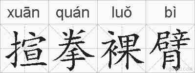 揎拳裸臂的拼音