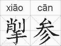 揱参的拼音