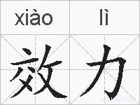 效力的拼音