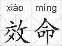 效命的拼音