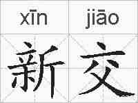 新交的拼音