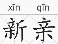 新亲的拼音
