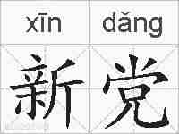 新党的拼音