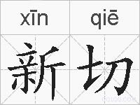 新切的拼音