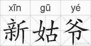 新姑爷的拼音