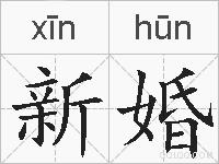 新婚的拼音