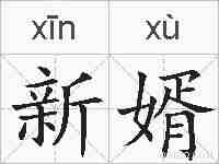 新婿的拼音