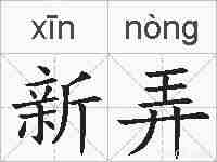 新弄的拼音