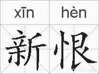 新恨的拼音