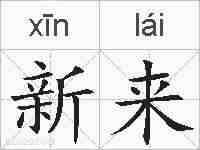 新来的拼音