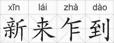新来乍到的拼音