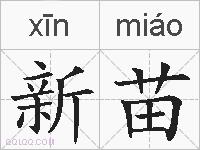 新苗的拼音