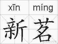 新茗的拼音