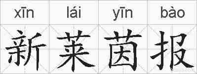 新莱茵报的拼音