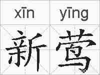 新莺的拼音