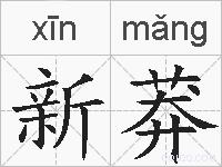 新莽的拼音