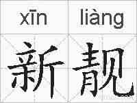 新靓的拼音