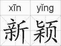 新颖的拼音