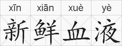新鲜血液的拼音