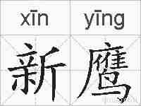 新鹰的拼音