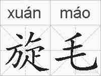旋毛的拼音