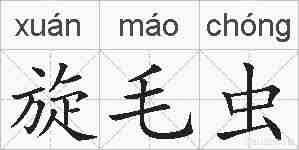 旋毛虫的拼音