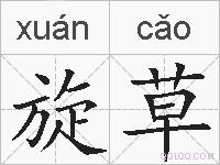 旋草的拼音