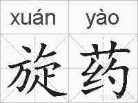 旋药的拼音