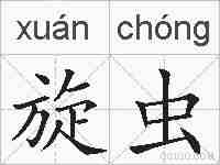 旋虫的拼音