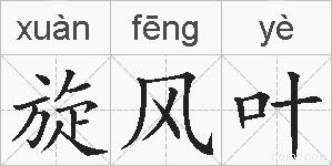 旋风叶的拼音