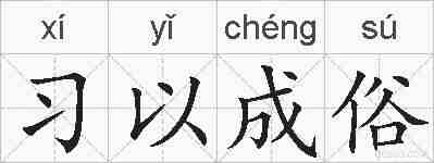 习以成俗的拼音