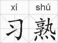 习熟的拼音