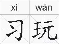 习玩的拼音