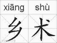 乡术的拼音