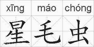 星毛虫的拼音