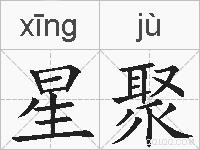 星聚的拼音