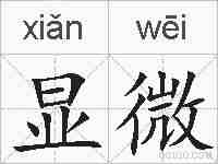 显微的拼音