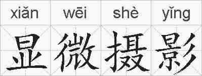 显微摄影的拼音