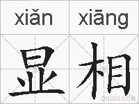 显相的拼音