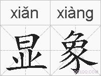 显象的拼音